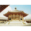 Temple-1 Fujimi 1/150 Yumedono "World Culture Heritage"