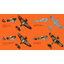 โมเดลเครื่องบิน Clear Prop Models 1/48 CP4804 H-75N Hawk
