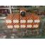 เกจ์วัดระดับน้ำมันในถัง เบนซิล ดีเซล FD ขนาด 2 นิ้ว ญี่ปุ่น 12V 24V