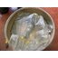 จานบายศรี เดือยหมู ลูกหลัง ISUZU DECA 320 7 43 ร่องหน้าแปลนเดือยหมู 35 ร่อง