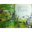 THUMPER/ หนังสือฝึกอ่านภาษาอังกฤษสำหรับเด็ก (หนังสือแถม)