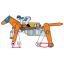 โมเดลสิ่งประดิษฐ์เพื่อการเรียนรู้ Tamiya TA71112 Mechanical Racehorse Gallaping Type