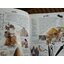 สารานุกรมภาพสำหรับเด็ก 2เล่ม/ชุด พร้อมกล่องบรรจุ