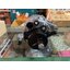ไดชาร์ท ISUZU NQR 4HF1 3 ร่อง หูตรง ปลั๊กกลม 3 ขา 24V 60A