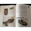 คู่มือแนะนำการสร้างโมเดลพลาสติก Tamiya Plastic Model Technique Guide Book