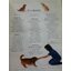 COMPLETE DOG TRAINING MANUAL/ Dr. Bruce Fogle
