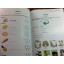 Young Learners English Starters Practice Tests (with audio CD)/ Sandra Fox