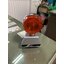 ไฟสัญญาณหลังคารถตู้ 12V 24V ส้ม-ส้ม ส้ม-แดง