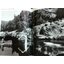 The Joy of LIFE/ Philip B. Kunhardt Jr.