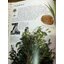 EYEWITNESS GUIDES 9 เล่ม