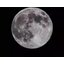 กล้องดูดาว กล้องดูนกระยะไกล ใช้กับกล้อง DSLR Canon Nikon Sony Fuji 420-800mm F / 8.3-16 Manual Zoom Telephoto By Sport Camera