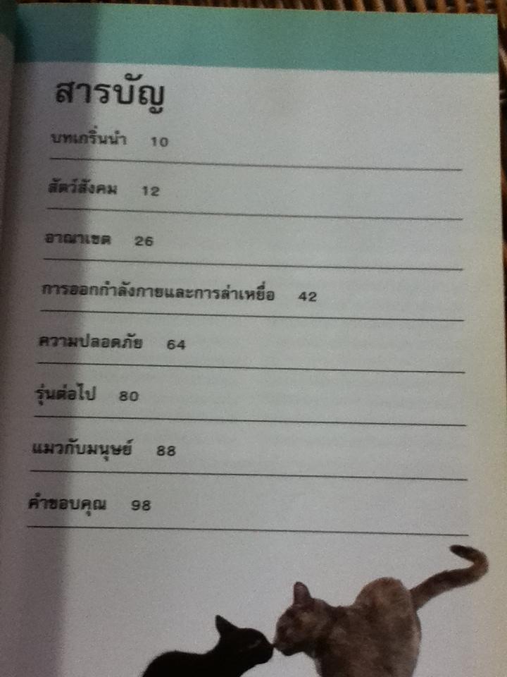 รู้ไหมแมวคิดอะไรอยู่?/ เกวน เบลีย์