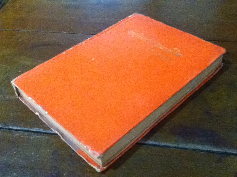 อนุทินทรรศนะชีวิต