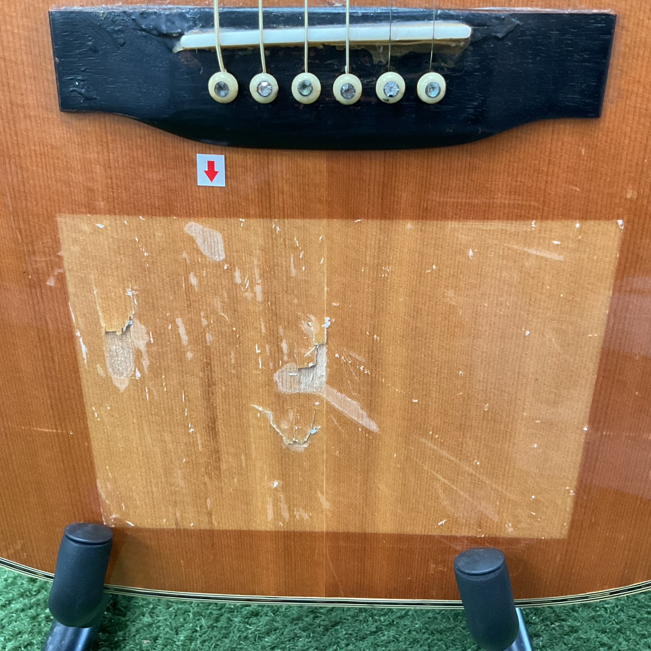 กีต้าร์โปร่ง MORRIS : SPECIAL