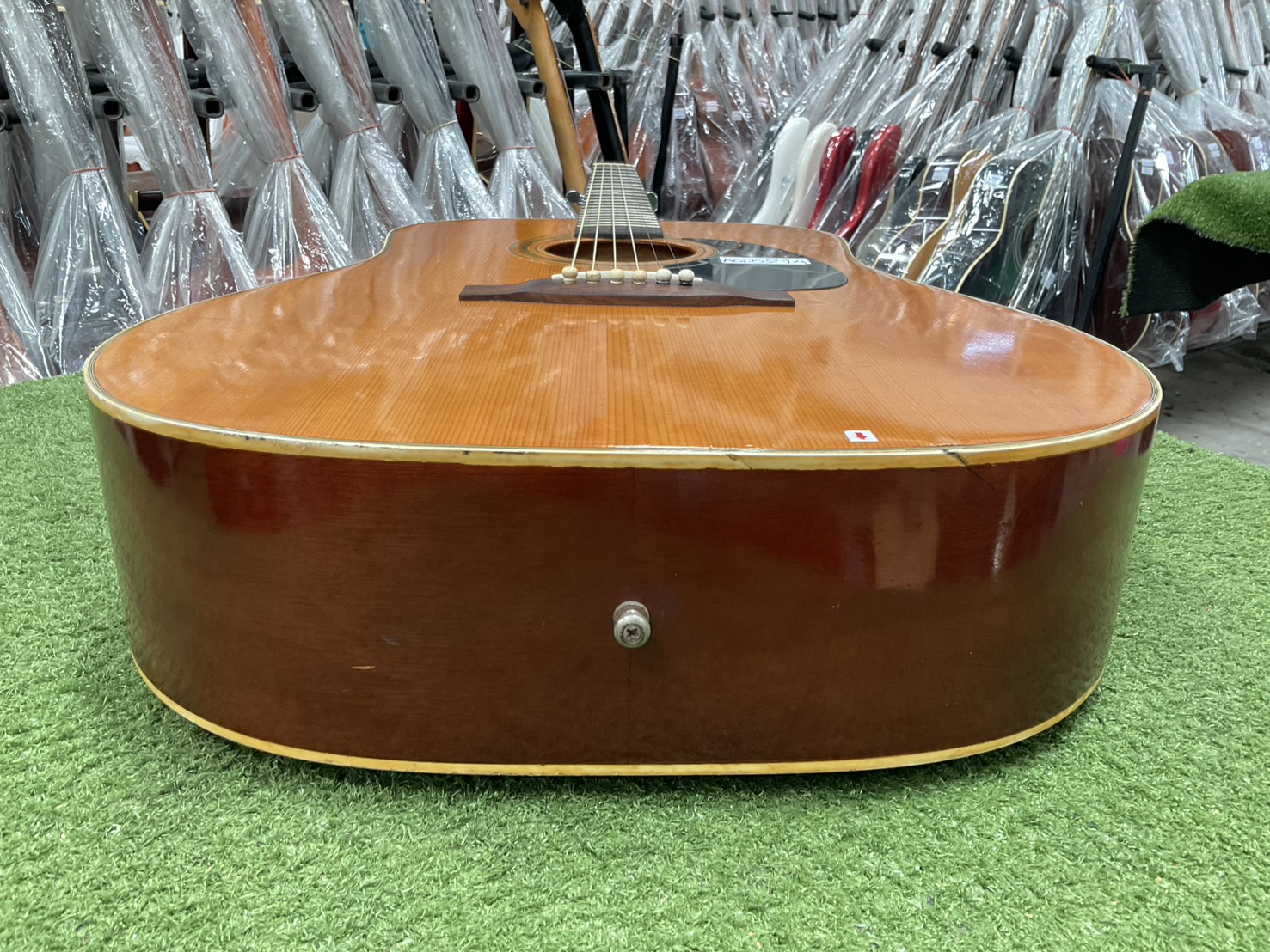 กีต้าร์โปร่ง Phenix : W130