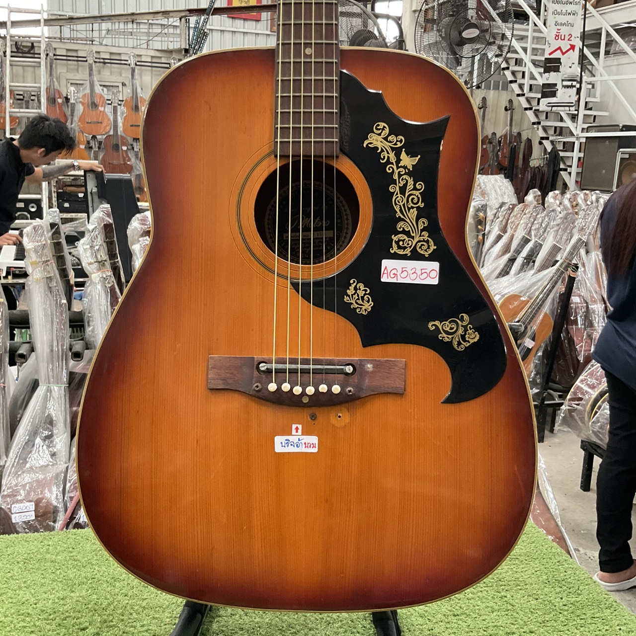 กีต้าร์โปร่ง Emperador : Metoro / F150