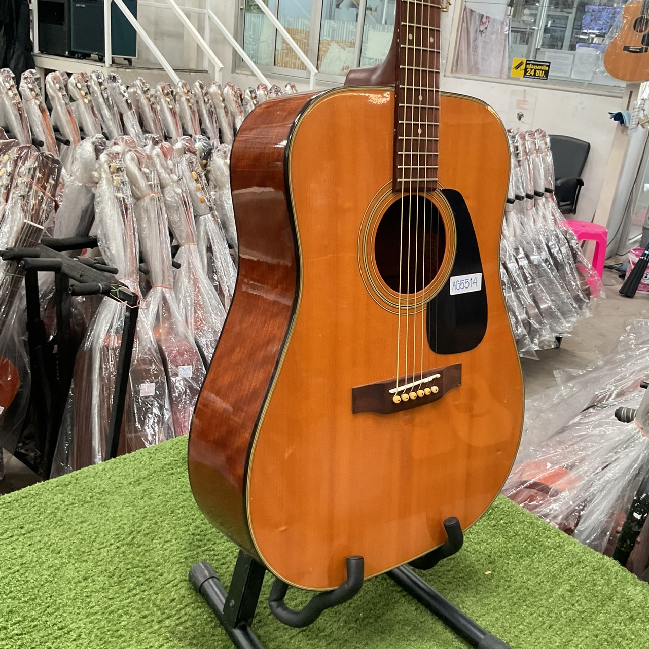 กีต้าร์โปร่ง Morris : MD-503