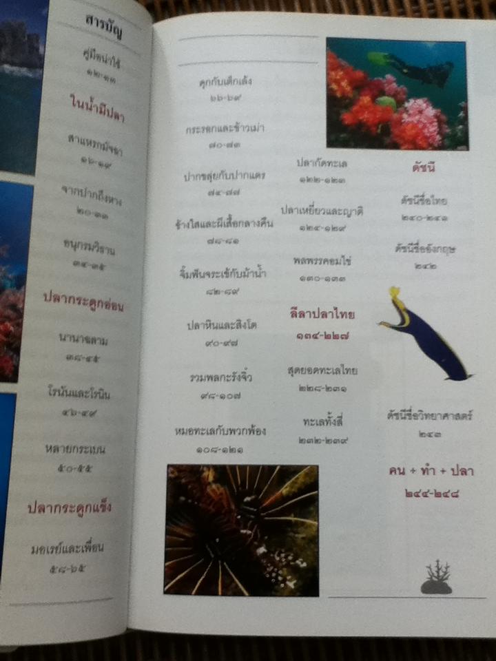 ปลาทะเลไทย เล่ม1 (พร้อมซีดีท่องทะเลชมปลา)/ ธรณ์ ธำรงนาวาสวัสดิ์ และคณะ แถม โครงการอุทยานใต้ทะเล จุฬาภรณ์36