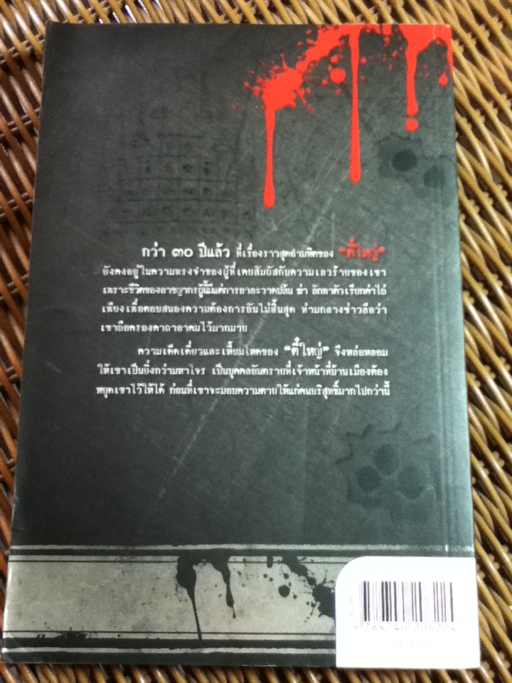 ตี๋ใหญ่ โจรระห่ำเมือง/ โรจนา นาเจริญ เรียบเรียง