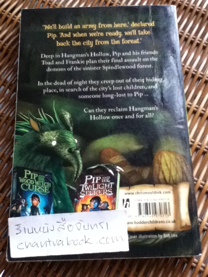 PIP AND THE LOST CHILDREN/ Chris Mould