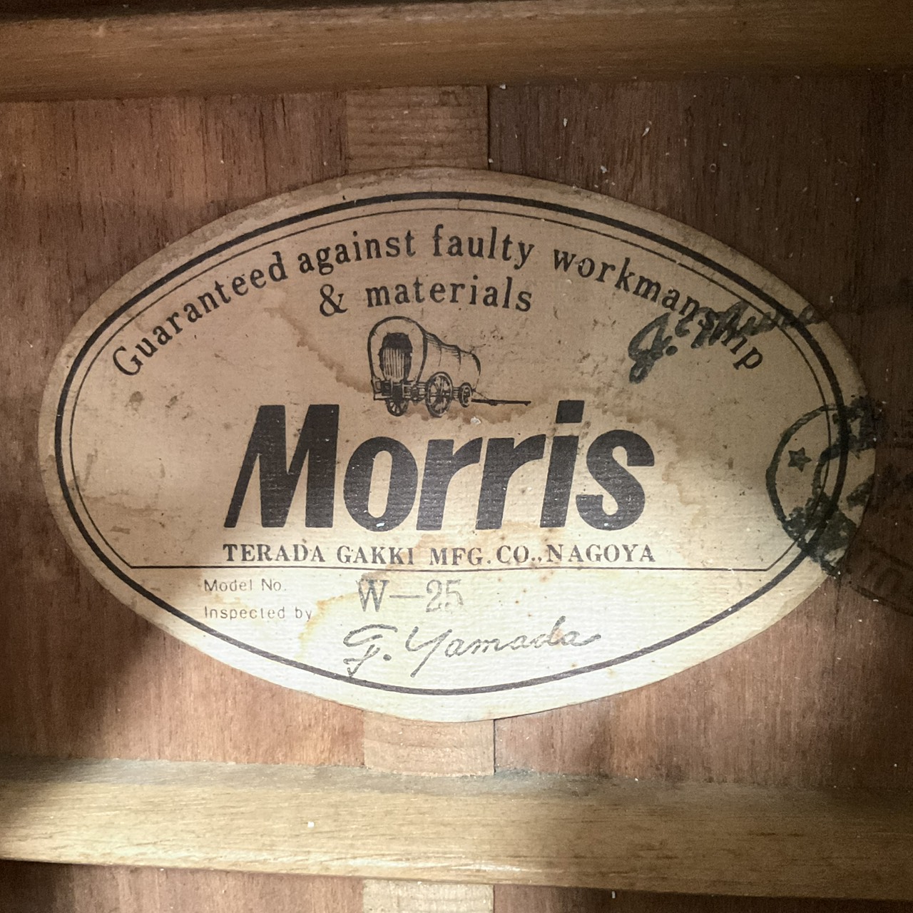 กีต้าร์โปร่ง Morris : W-25