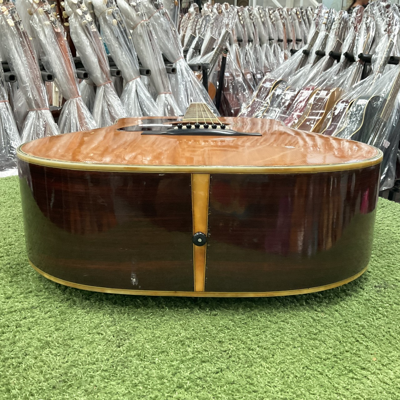 กีต้าร์โปร่ง Morris : W-50 (สำหรับมือซ้าย)