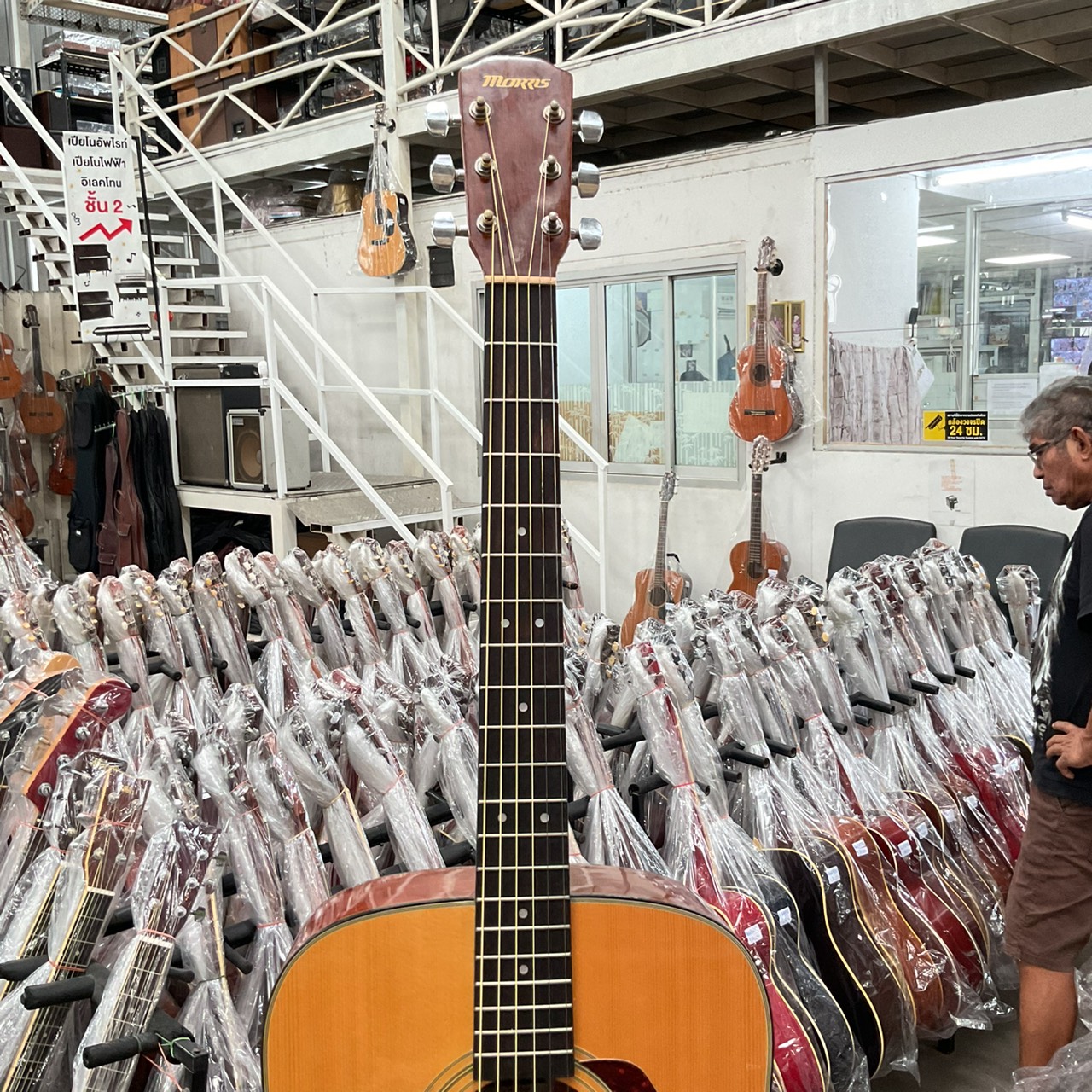 กีต้าร์โปร่ง MORRIS : M-01NAT