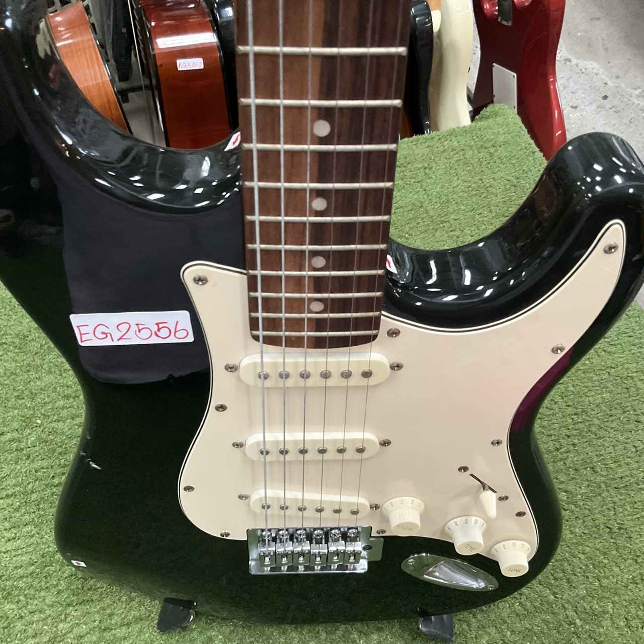 กีต้าร์ไฟฟ้า Bloom