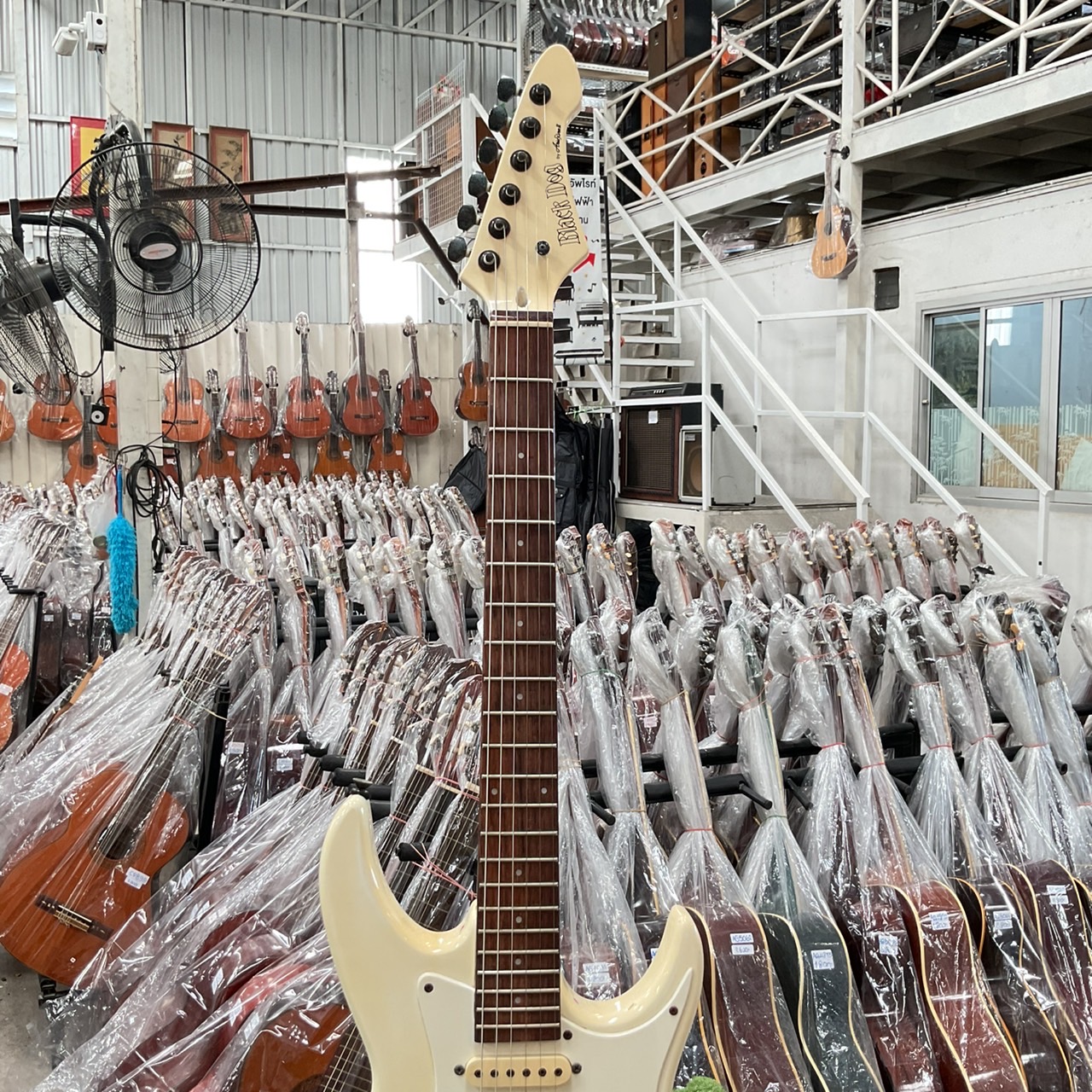 กีต้าร์ไฟฟ้า BLACK DOG : BY ARI PRO II