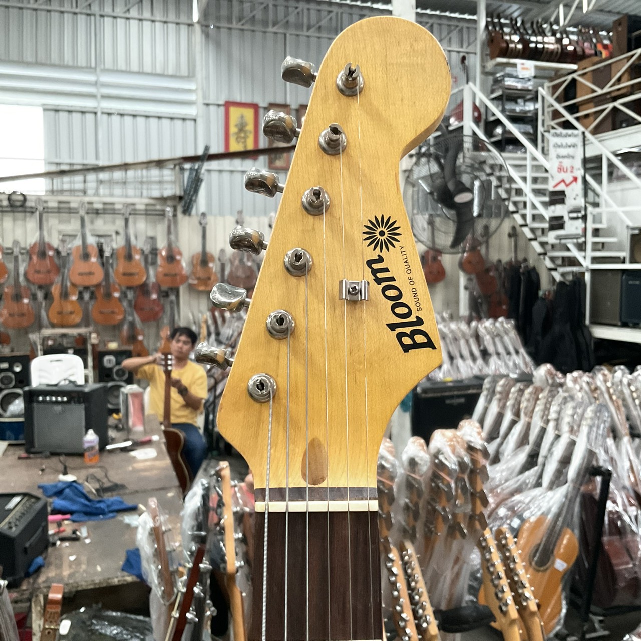 กีต้าร์ไฟฟ้า Bloom