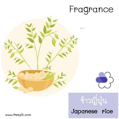 Rice :Japanese Rice fragrance หัวน้ำมันหอม ข้าวญี่ปุ่น savory green fresh กลิ่นของข้าวหุงใหม่ ละลายในน้ำมัน COA
