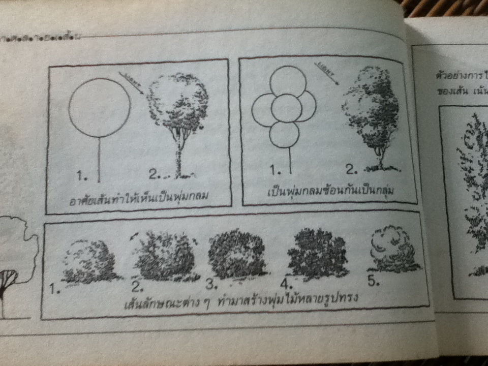 วาดลายเส้น