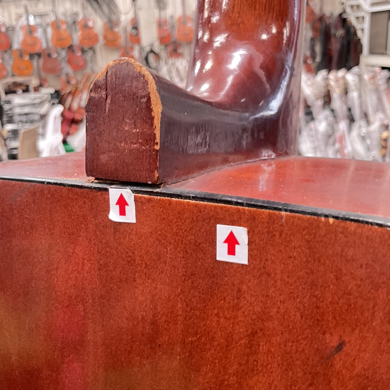 กีต้าร์โปร่ง Muse