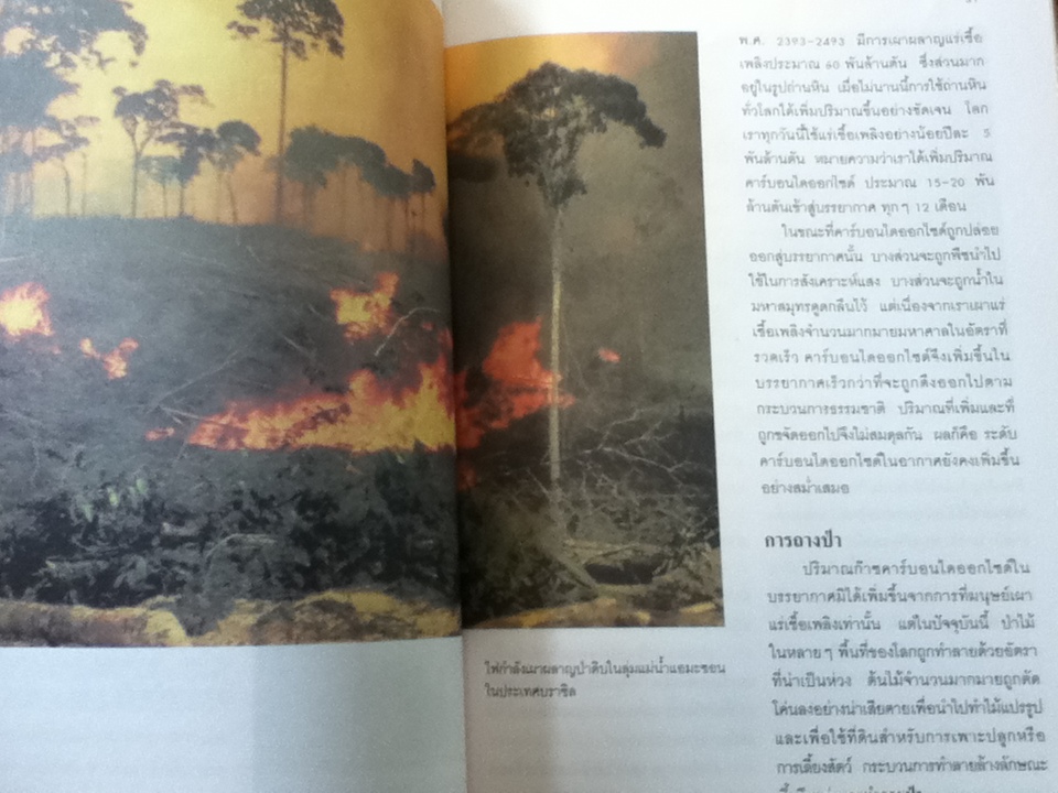 หนังสืออ่านเพิ่มเติมระดับมัธยมศึกษาขึ้นไป ปฏิกิริยาเรือนกระจก THE GREENHOUSE EFFECT/ รีเบกกา จอห์นสัน