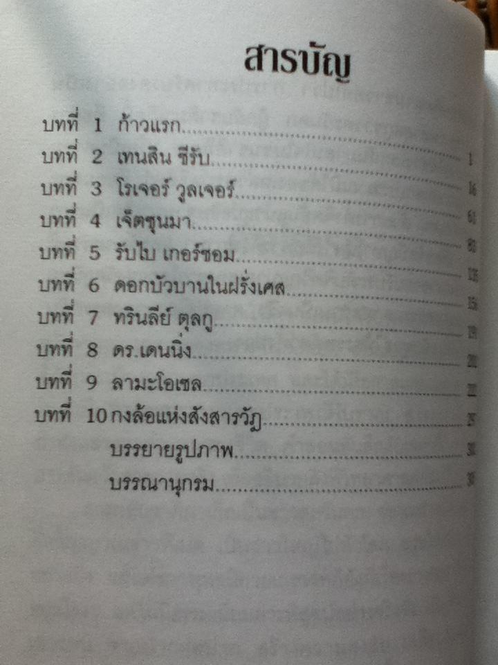 ตุลกูผู้กลับชาติมาเกิด/ วิคกิ แมคเคนไซ