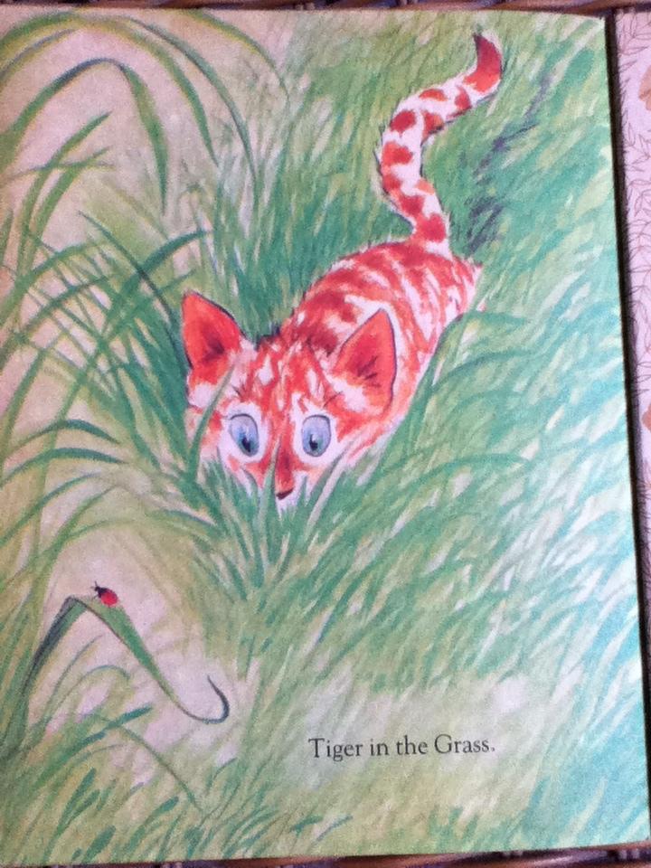 Charlie/ DIANE FOX DOWNS