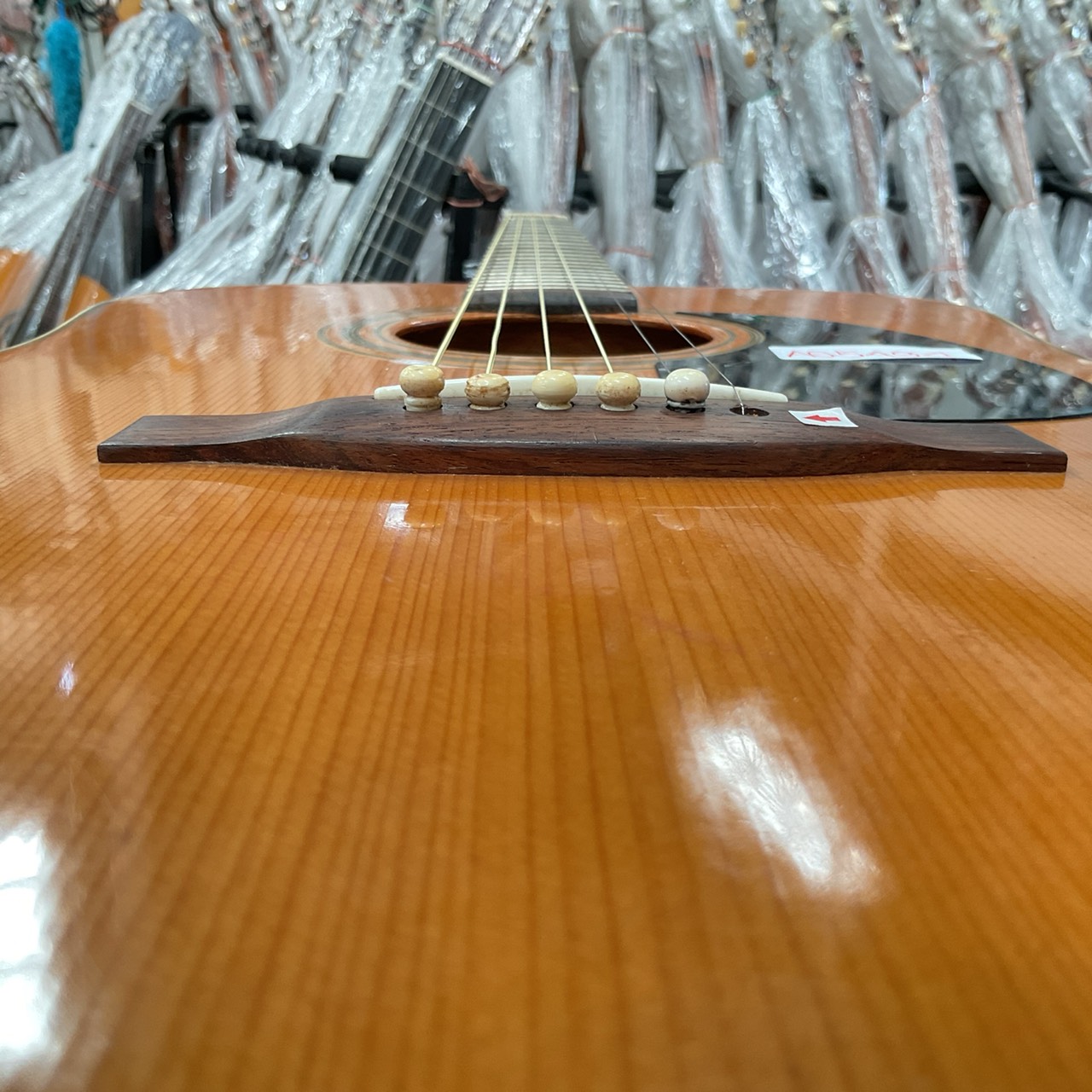 กีต้าร์โปร่ง Phenix : W130