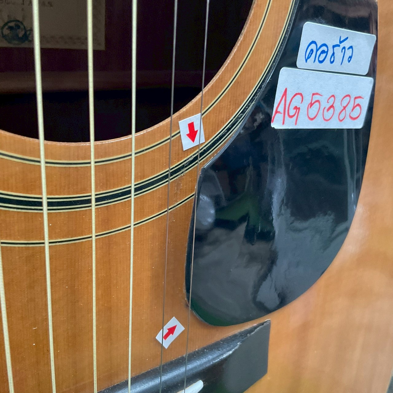 กีต้าร์โปร่ง New Star(ENCORE) : NW13