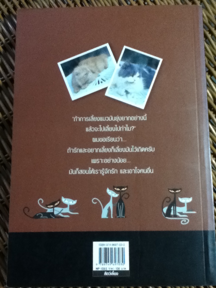 คนรักแมว