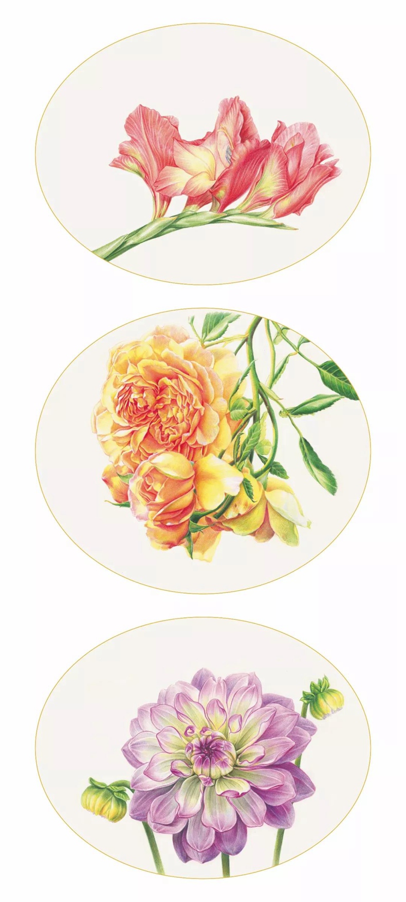 (Pre-order) หนังสือ Color pencil drawing of flowers