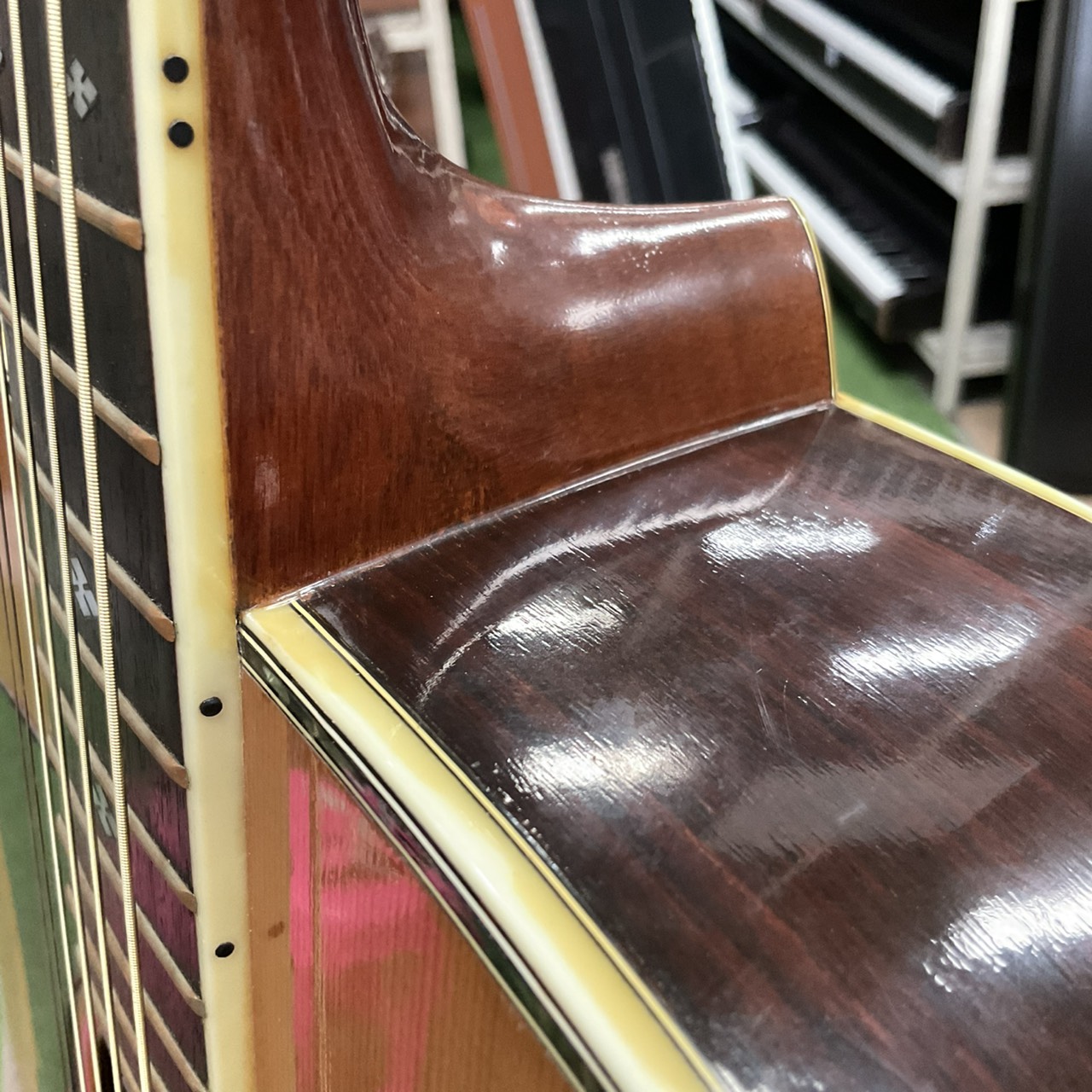 กีต้าร์โปร่ง Morris : W-50 (สำหรับมือซ้าย)