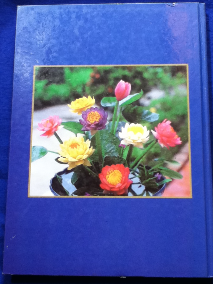 ศิลปะการแกะสลักผักและผลไม้ 2 ภาษา ไทย-อังกฤษ