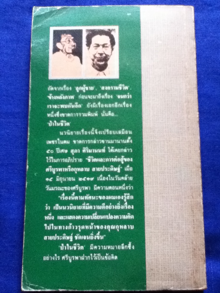 ป่าในชีวิต