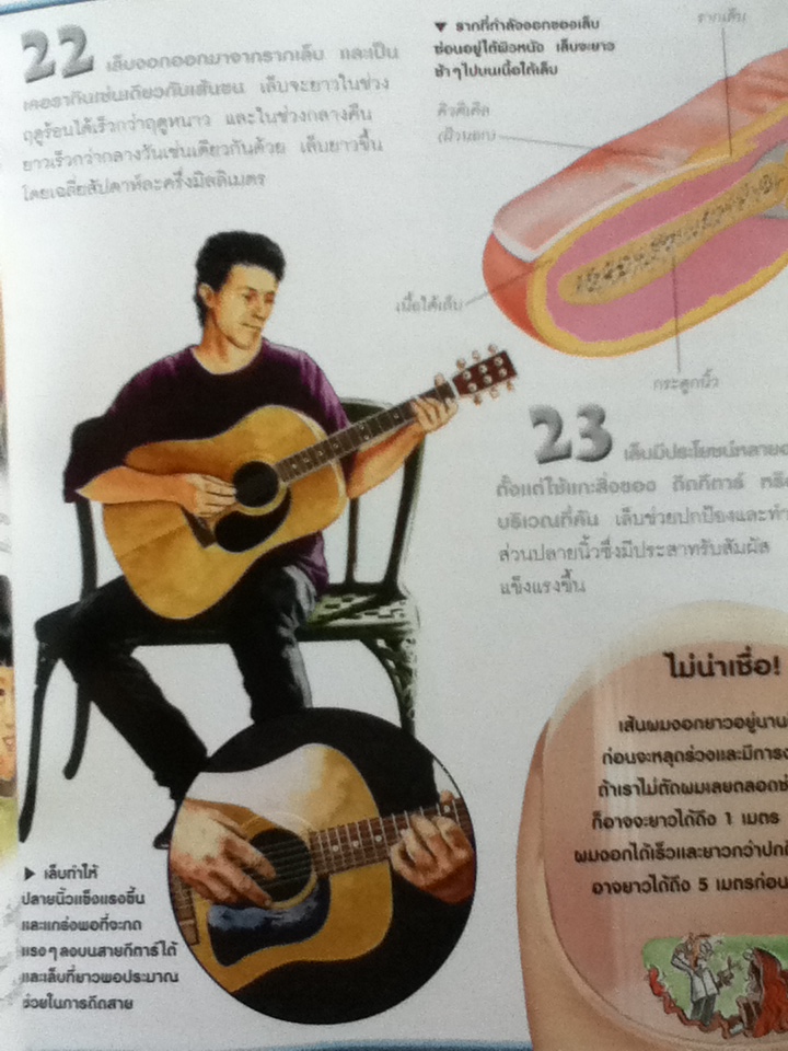 100 เรื่องน่ารู้เกี่ยวกับร่างกายของเรา