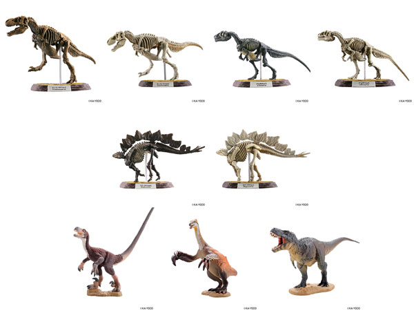 Dinoasaur Master 5 10Pack BOX (CANDY TOY)(Released)