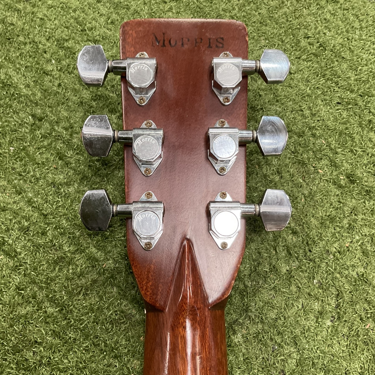 กีต้าร์โปร่ง Morris : W-50 (สำหรับมือซ้าย)