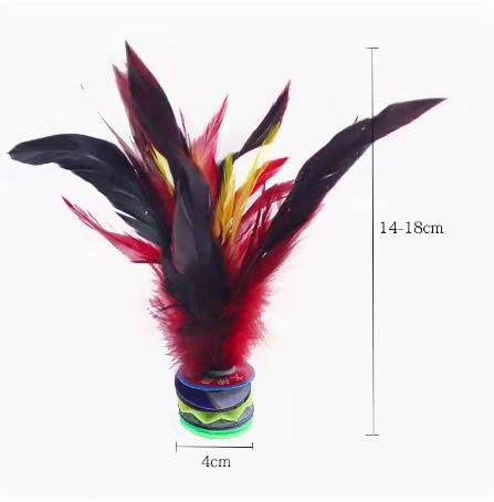 สื่อการสอนภาษาจีน กีฬาพื้นบ้านจีนเตะลูกขนไก่ 民间玩具鸡毛毽子 Folk Toy Kicking Feather Shuttlecock