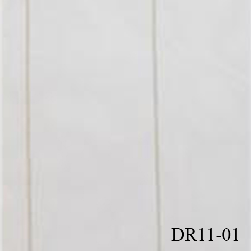 DR11-01