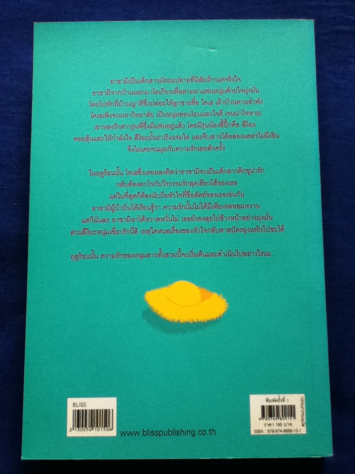 รักในฤดูร้อน That Summer