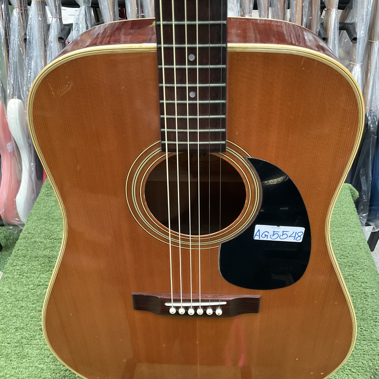 กีต้าร์โปร่ง Morris : W-18